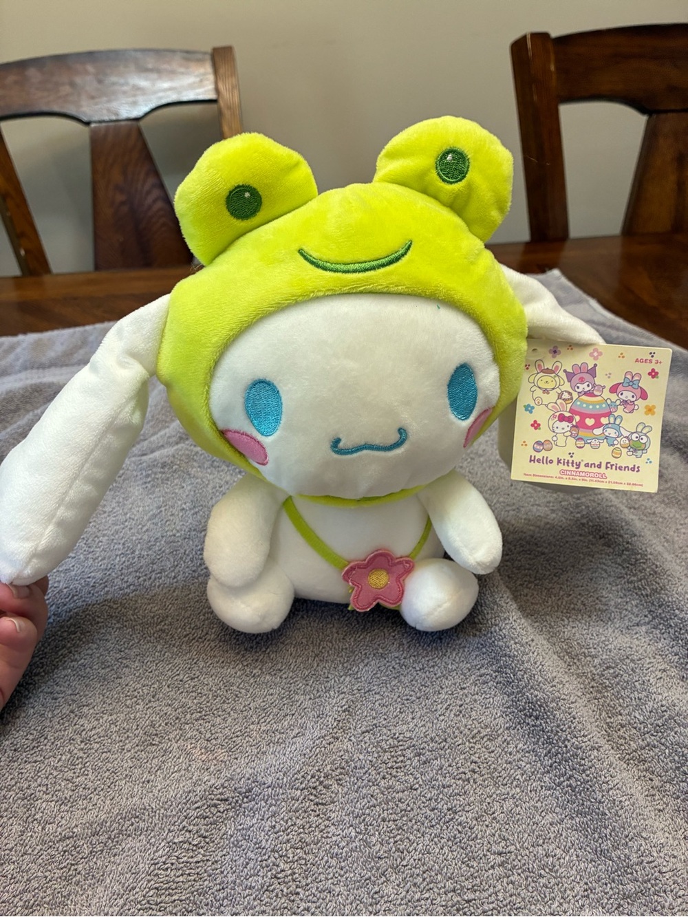 Hello Kitty Cinnamoroll Plush in Bright Lime Frog Hat with Pink Flower